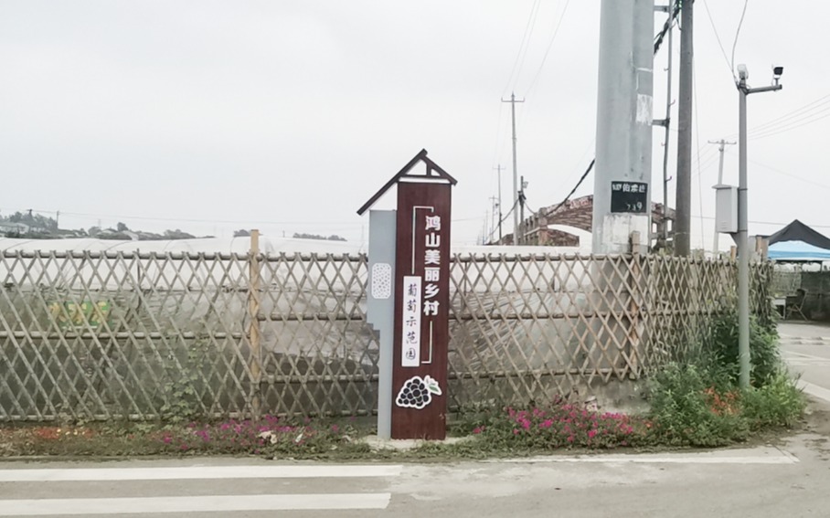 江苏鸿山葡萄示范园水肥一体化系统